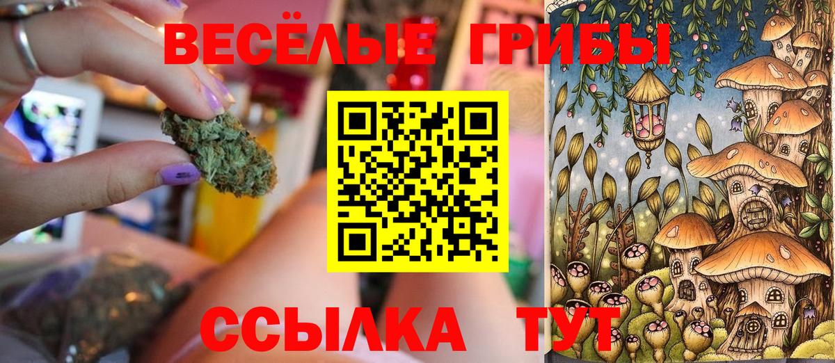 Псилоцибиновые грибы Cubensis Малгобек