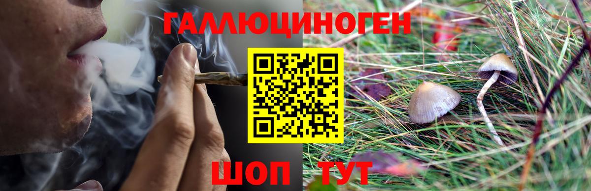 Псилоцибиновые грибы Magic Shrooms  Вход с VPN  Малгобек  Галлюциногенные грибы Psilocybine cubensis 
