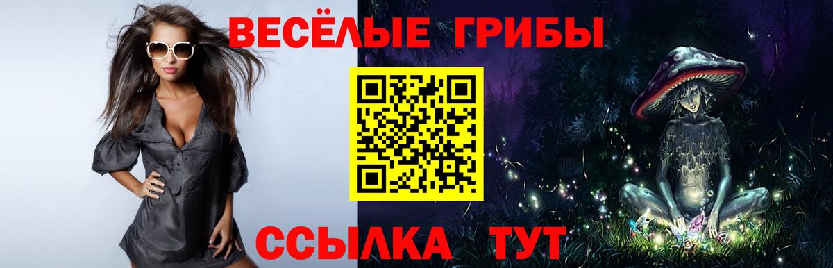 Галлюциногенные грибы Cubensis  Псилоцибиновые грибы Psilocybe  Малгобек 